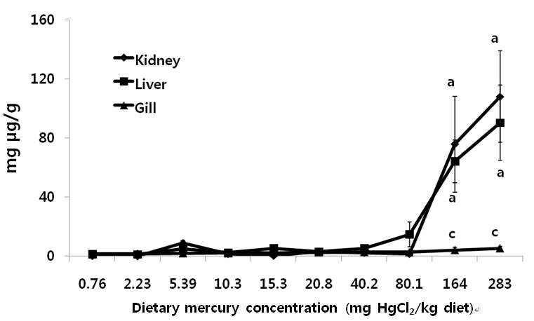 Total Hg concentrations of olive flounder (mean±SD, n=3) fed the experimental diets for 8 weeks in kidney, liver, and gill tissues.