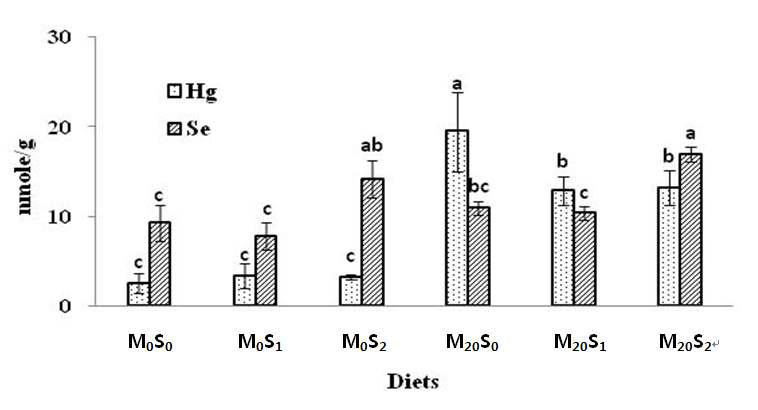 Total Hg and Se concentrations of olive flounder (mean±SD, n=3) fed the experimental diets for 6 weeks in kidney tissue