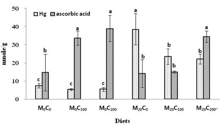 Total Hg and ascorbic acid concentrations of olive flounder (mean±SD, n=3) fed the experimental diets for 6 weeks in kidney tissue.