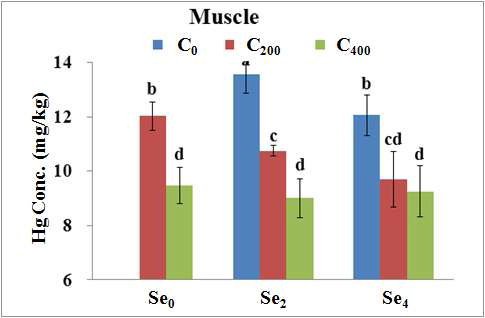 Total Hg concentrations of olive flounder (mean±SD, n=3) fed the experimental diets for 8 weeks in muscle tissues.