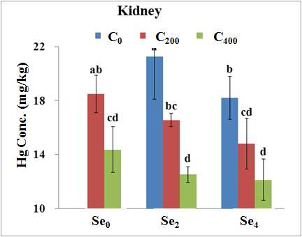 Total Hg concentrations of olive flounder (mean±SD, n=3) fed the experimental diets for 8 weeks in kidney tissues