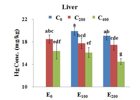 Total Hg concentrations of olive flounder (mean±SD, n=3) fed the experimental diets for 8 weeks in liver tissues.