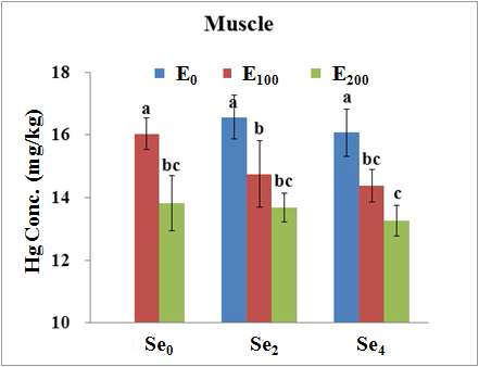 Total Hg concentrations of olive flounder (mean±SD, n=3) fed the experimental diets for 8 weeks in muscle tissues.