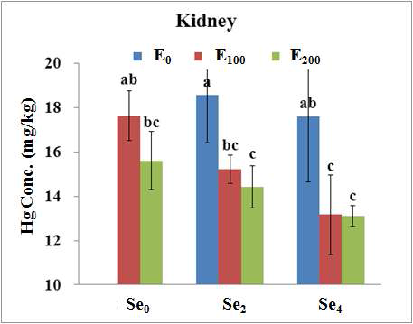 Total Hg concentrations of olive flounder (mean±SD, n=3) fed the experimental diets for 8 weeks in kidney tissues