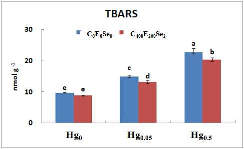 TBARS value of mouse (mean±SD, n=3) fed the experimental diets for 8 weeks in serum
