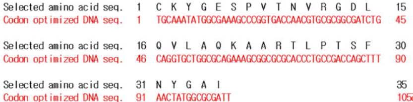 구제역 바이러스 항원의 아미노산 서열과 코돈 최적화가 진행된 유전자 서열
