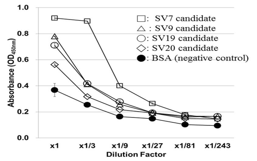 구제역 항원에 가장 높은 친화력을 가지는 항체 후보들에 대한 ELISA