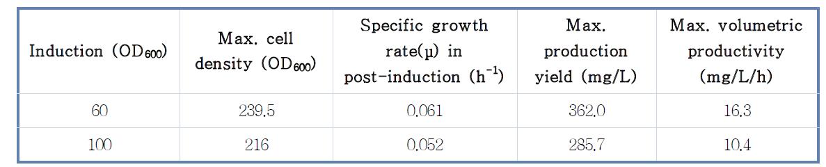 유가식 배양을 통한 세포 고농도 배양에서 induction OD600의 차이에 따른 생산성 비교