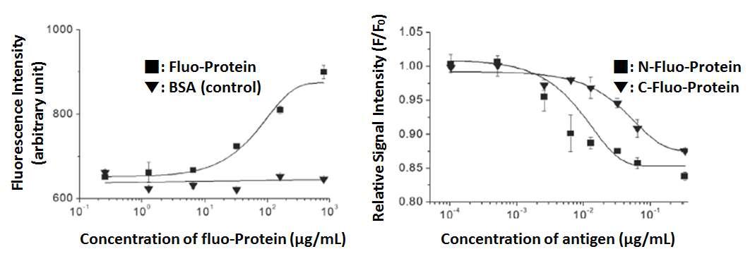 융합 단백질의 농도에 따른 형광 세기 변화(좌)와 항원의 변화에 따른 융합 단백질의 형광 세기 변화 (우)