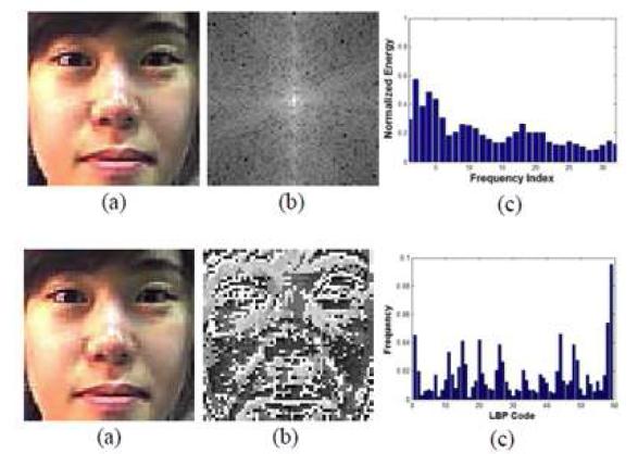 주파수와 텍스처 정보를 이용한 얼굴 표현