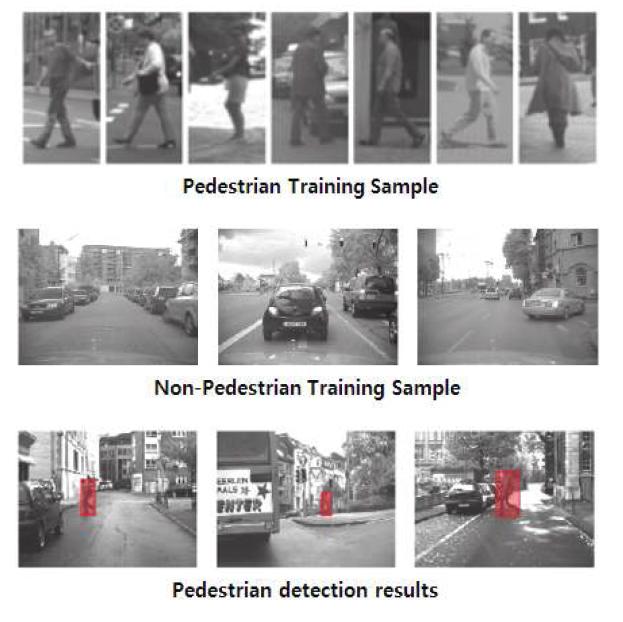 보행자, 비 보행자 학습 샘플 및 검출 결과