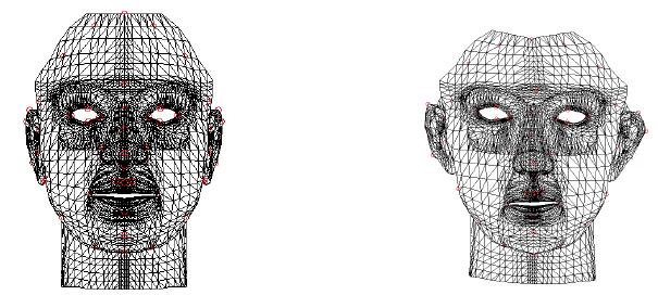 초기 3D generic face model과 추정된 3D face shape에 의해 변형된 model