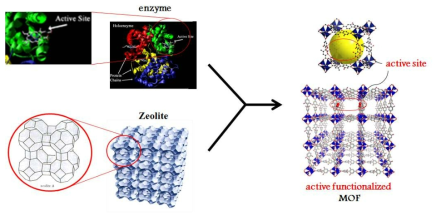 효소와 지올라이트의 비교