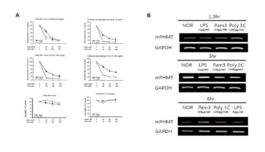 Involvement of methylation on Nitrite(NO) production in macrophages activated with TLR ligands.