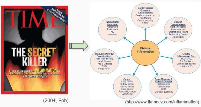 염증과 다양한 질병과의 관계