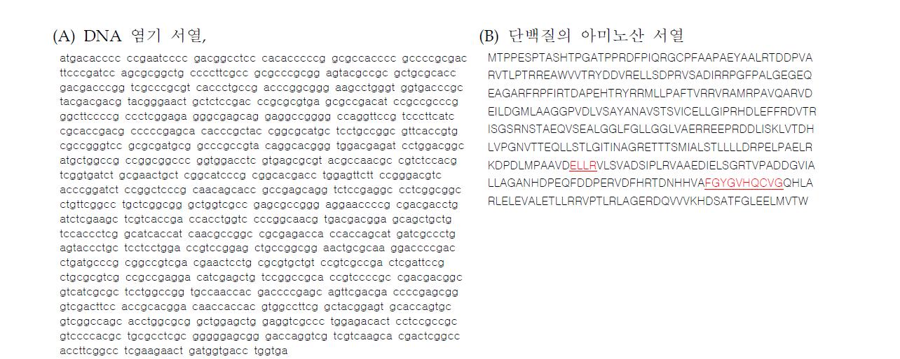 S. coelicolor에 존재하는 CYP105N1 (특징적 아미노산 서열을 밑줄로 표시)