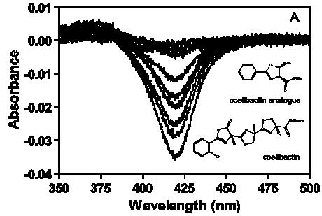 S. coelicolor CYP105N1에 대한 coelibactin analogue의 결합.