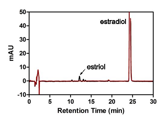 S. coelicolor CYP105N1에 의한 Estradiol oxidation.