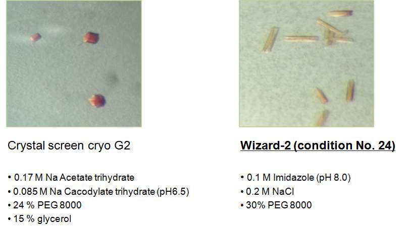 CYP105N1의 Crystallization 결과.