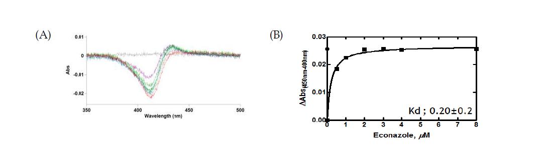 158A3 단백질과 azole compound Econazole의 binding titration