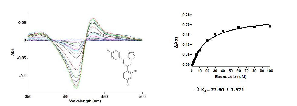 S. avermitilis CYP107W1에 대한 econazole의 결합
