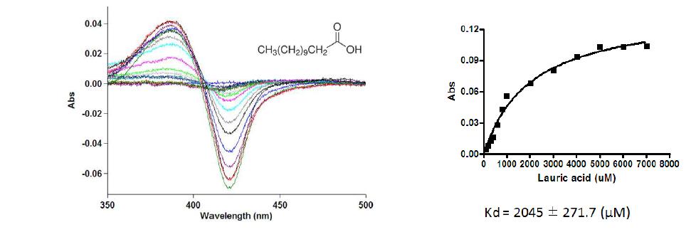 S. avermitilis CYP107W1에 대한 lauric acid의 결합