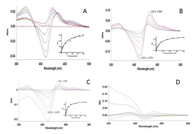 S. avermitilis CYP107L2에 대한 azole inhibitor들과의 결합 (A) fluconazole (B) ketoconazole (C) econazole (D) itraconazole