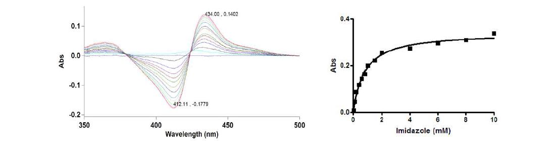 S. avermitilis CYP107L2에 대한 imidazole의 결합 (Kd = 775.1 ± 0.1 μM)