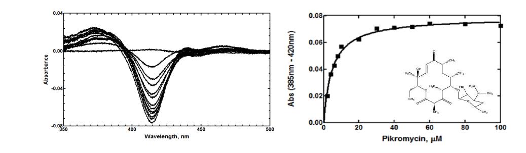 S. avermitilis CYP107L2와 pikromycin과의 binding titration spectra