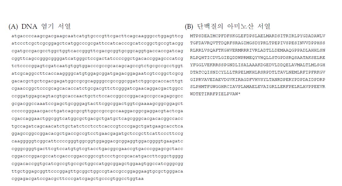 S. avermitilis에 존재하는 CYP107F2유전자와 단백질의 아미노산 서열