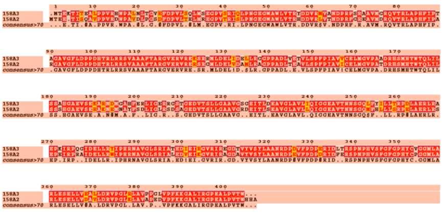 CYP158A3와 CYP158A2의 protein sequence alignment