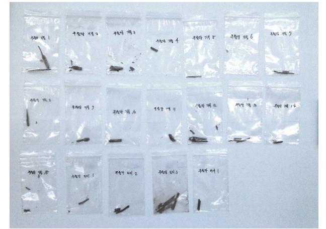 Samples for analysis of species (Muchumdang)