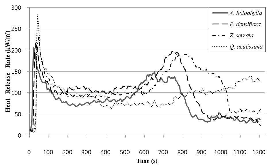 HRR curves of wood species at 50kW/㎡ external heat flux