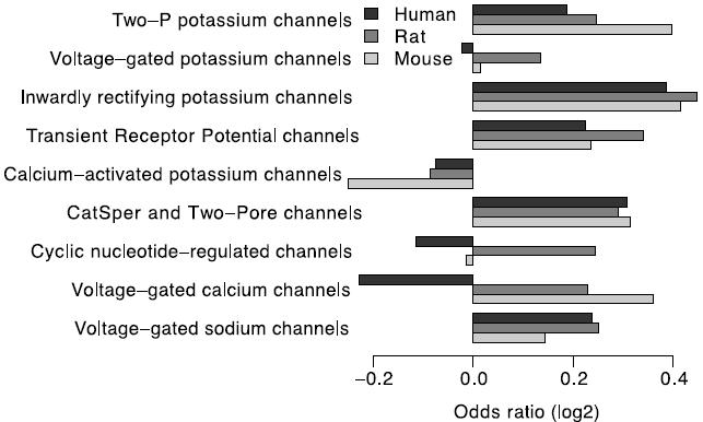 Joint odds ratio of optimal codon usage between transmembrane and non-transmembrane sites for each type of voltagegated ion channel