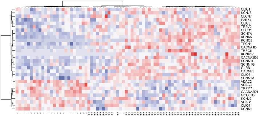 The ion channel genes differentially expressed between adenocarcinoma and squamous-cell carcinoma in the SWE cohort