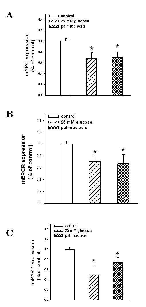 고포도당 및 palmitic acid에 의한 APC, EPCR, PAR-1의 유전자