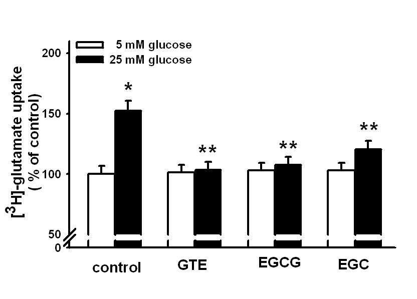 PC12l cell에서 GT 및 catechin 유도체에 대한 고포도당에 의한 glutamate uptake 차단작용