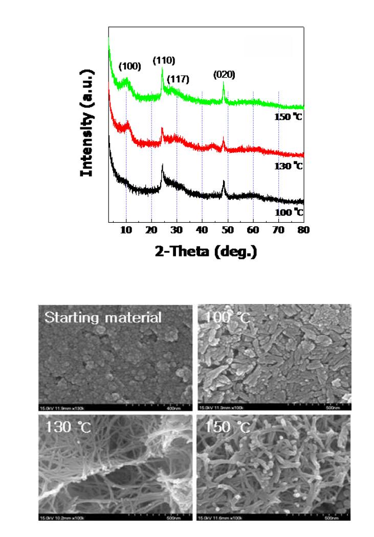여러가지 온도에서 수열합성한 TiNT 분말의 XRD pattern과 SEM 이미지
