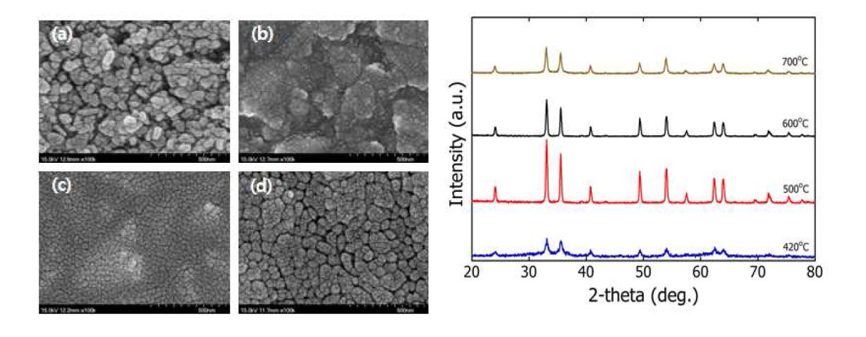 열처리 온도에 따른 코팅된 Fe2O3/TiO2/FTO 막의 SEM 및 XRD 결과; (a) 420 ℃, (b) 500 ℃, (c) 600 ℃, (d) 700 ℃