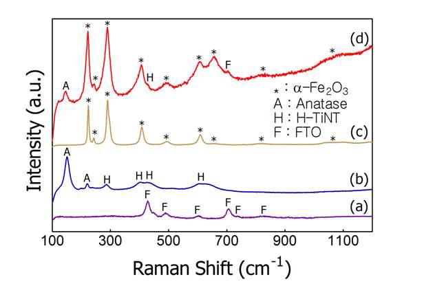 FTO glass위에 코팅한 여러 가지 막의 Raman Spectroscopy의 결과; (a) FTO 막, (b) TiO2/FTO 막 (c) Fe2O3/FTO 막 그리고 (d) Fe2O3/TiO2/FTO 막