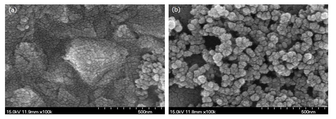 SEM 관찰 결과; (a) Si-TiO2/Fe(NO3)3·9H2O/TiNT/FTO 막을 500 ℃에서 10분동안 열처리한 막, (b) 500 ℃에서 10분동안 열처리하여 제조된 Fe2O3/TiO2/FTO 막 위에 Si-TiO2를 코팅하고 200 ℃에서 2시간동안 열처리한 막