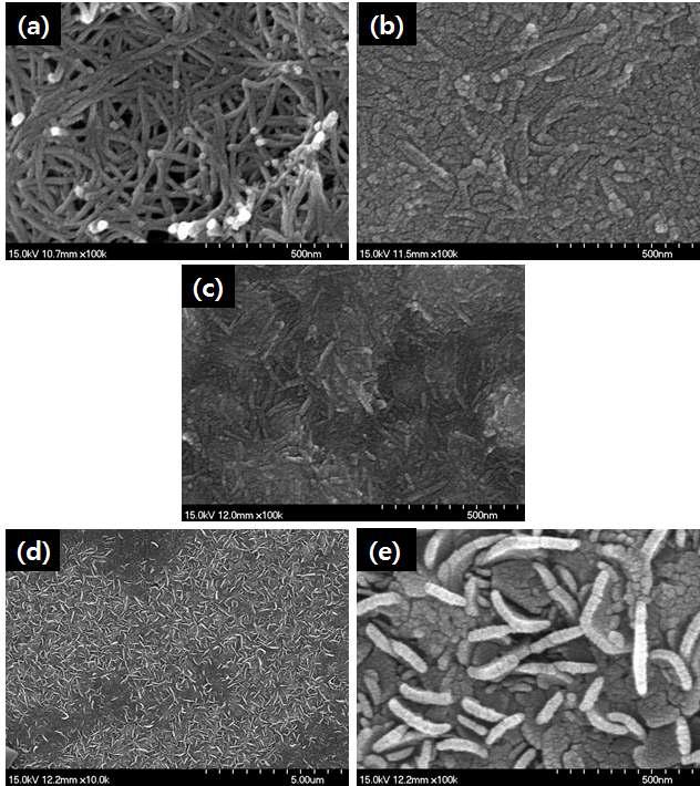 SEM 이미지 결과 (a) Fe-TiNT 분말; (b) TiO2/FTO 막; (c) Fe-TiO2/FTO 막; (d) FFe2O3/Fe-TiO2/FTO 막 그리고 (e) Fe2O3/Fe-TiO2/FTO 막