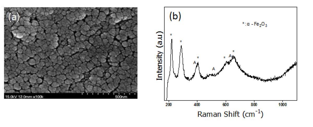 Fe-TiO2를 이용하여 FTO glass에 코팅한 Fe-TiO2/FTO 막 : (a) SEM 관찰결과 (b) Raman Spectrum 측정결과