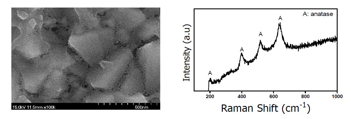 tetra titanium isopropoxide(Ti[OCH(CH3)2]4)를 이용하여 FTO glass에 코팅한 TiO2/FTO 막 : (a) SEM 관찰결과 , (b) Raman spectrum