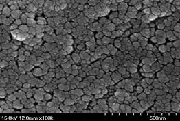 Fe(NO3)3·9H2O에 담지 한 후 500℃에서 10분 간 열처리한 Fe2O3/Fe-TiO2/FTO 막 : SEM 관찰 결과