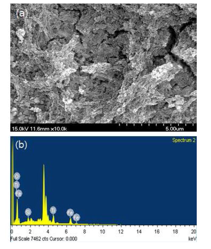 TEOS를 이용한 Si/Fe-TiO2/FTO 막:(a) SEM 관찰 결과, (b) EDX 분석 결과