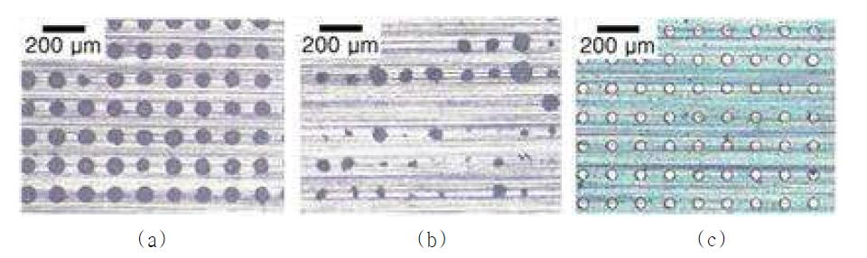 전해에칭으로 가공된 미세 구멍 어레이의 광학 현미경 사진