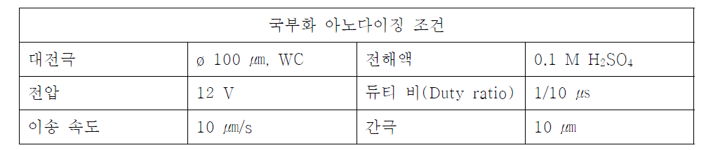 국부화 아노다이징 조건