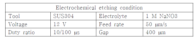 전해에칭 조건