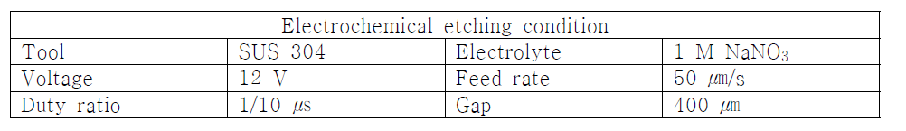 전해에칭 조건